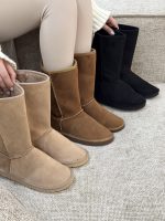 Ugg آگ بلند کد ۲۰۵۰