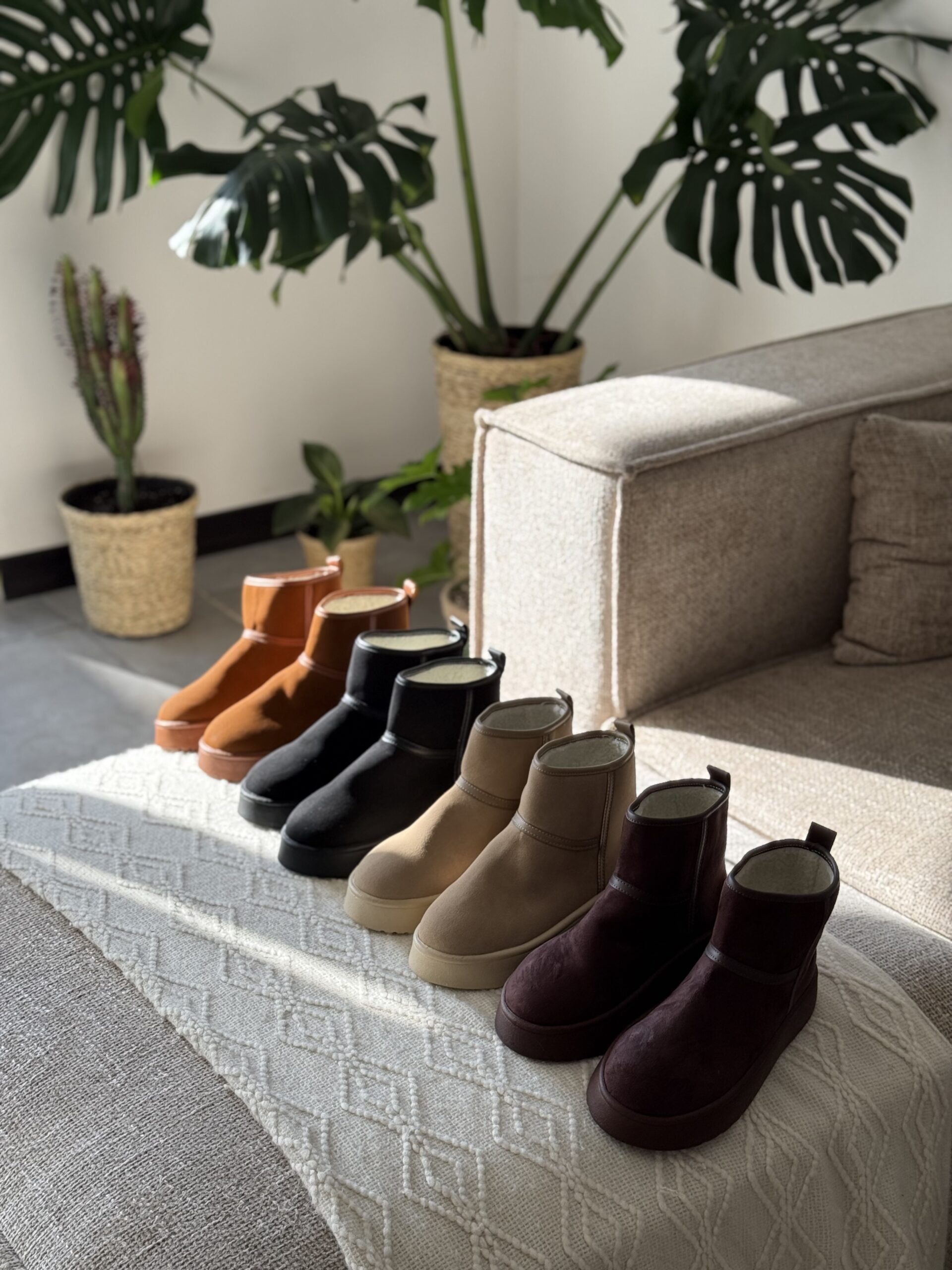 IMG_5050 آگ پاتریشیا کد 8056 - تصویر 1